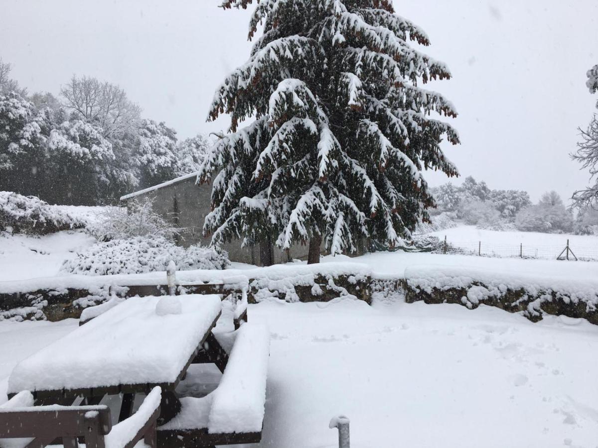 Can Janot Villa Olot Dış mekan fotoğraf