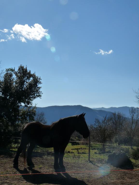 Can Janot Villa Olot Dış mekan fotoğraf