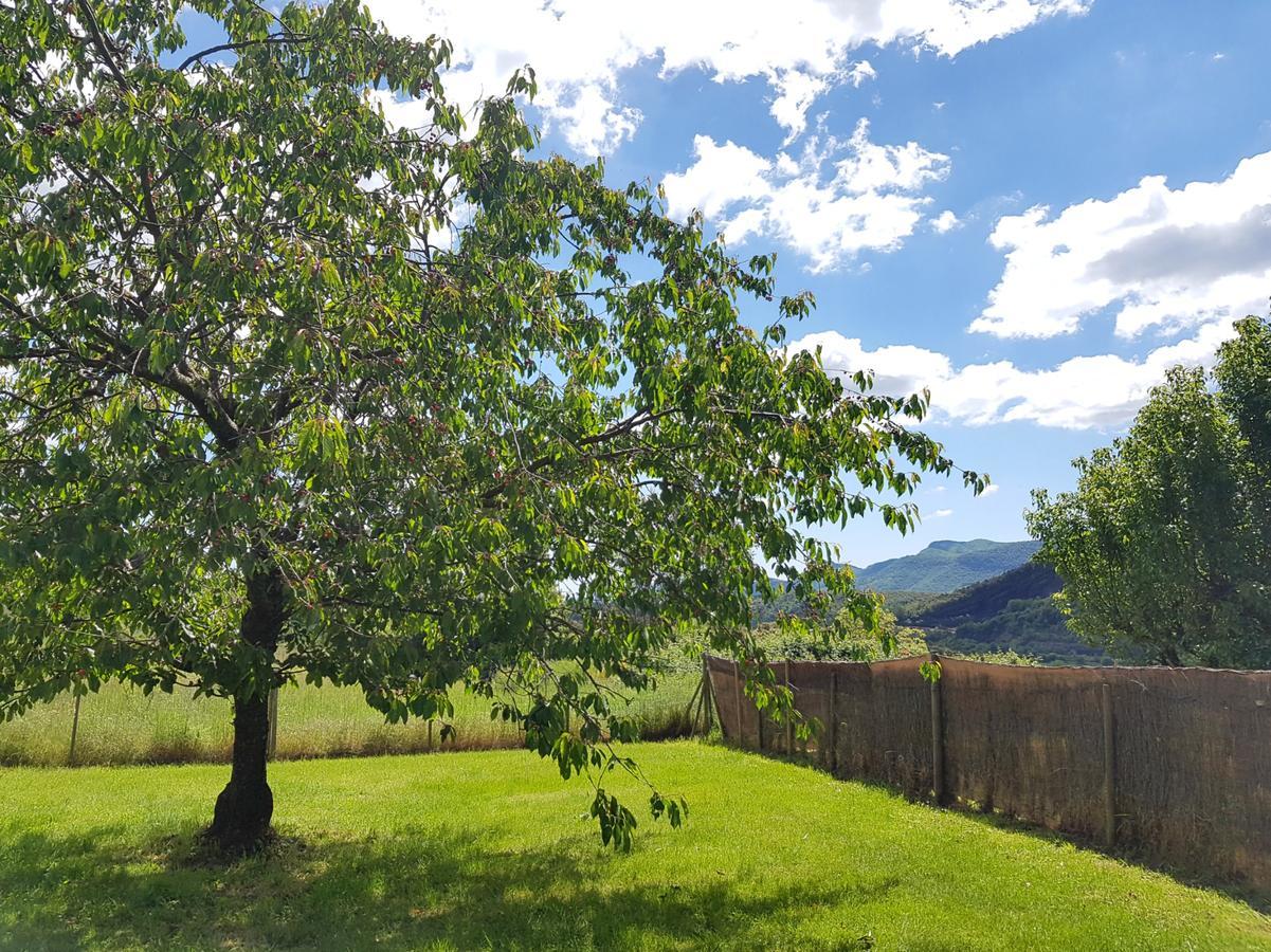Can Janot Villa Olot Dış mekan fotoğraf